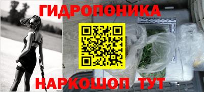 шишки Краснокаменск
