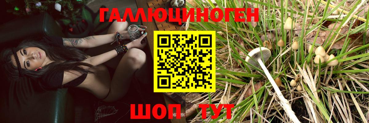 Калач-на-Дону  Псилоцибиновые грибы Psilocybe  Галлюциногенные грибы мухоморы  Вход с VPN 